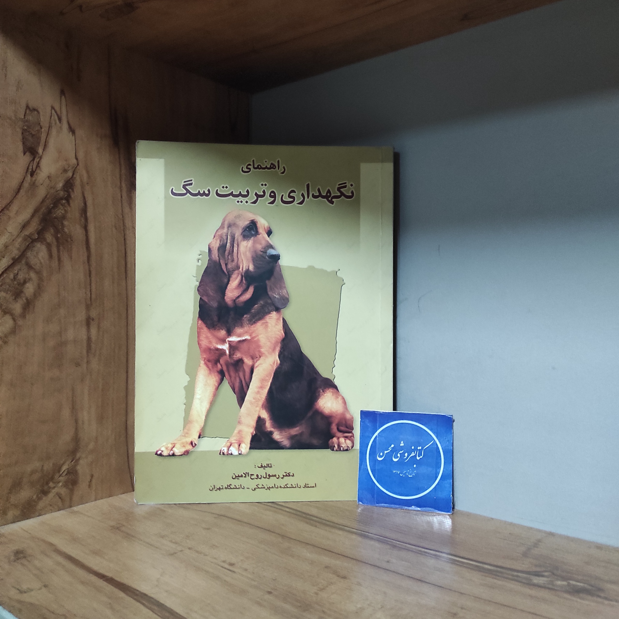 راهنمای نگهداری و تربیت سگ