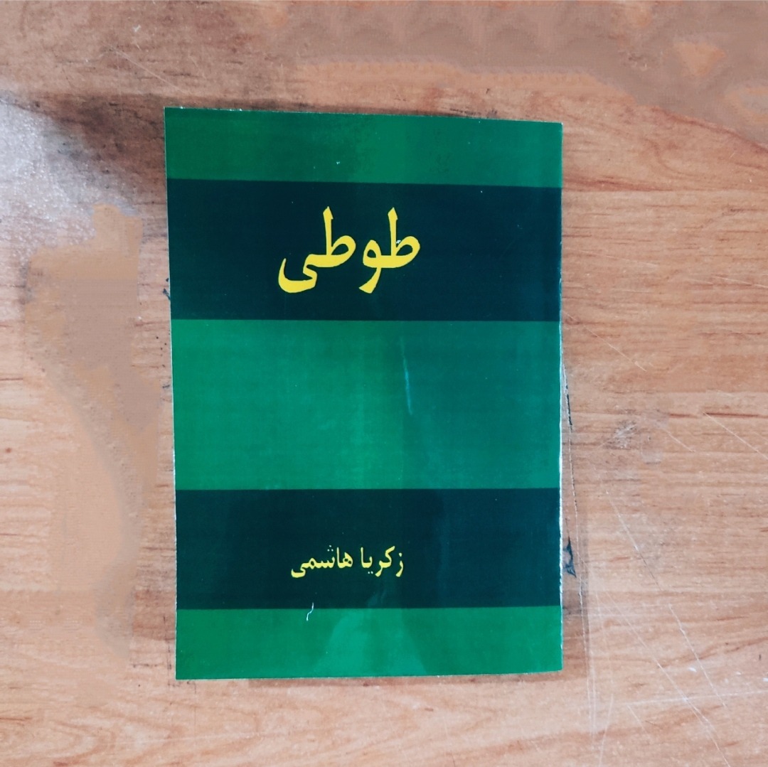 کتاب طوطی زکریا هاشمی کاملترین متن