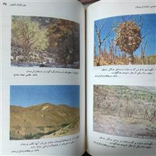 جغرافیای