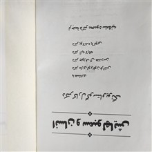 انسان