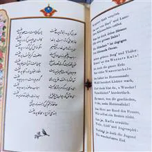 برگزیده