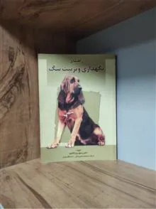 راهنمای
