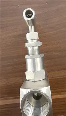 شیرسوزنی(نیدل