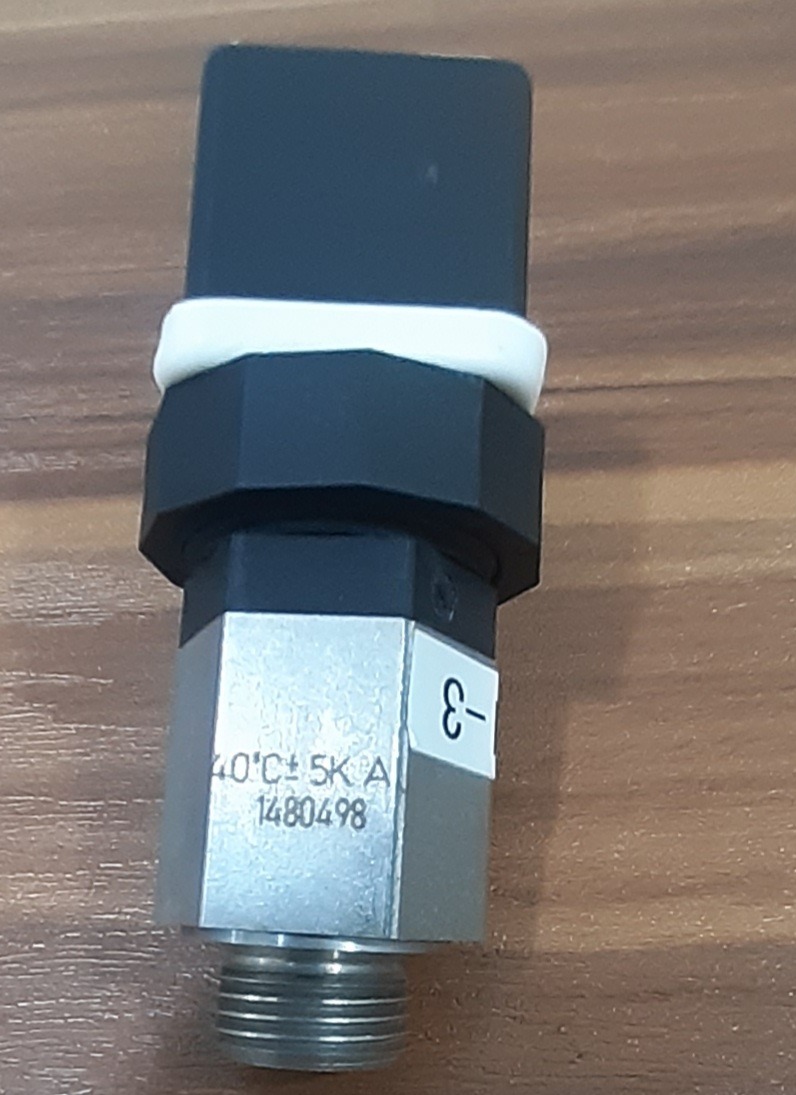 VDEG AE temperature switch