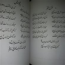گزیده
