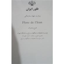 فلور
