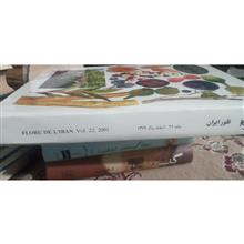 فلور