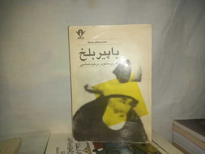 کتاب با پیر بلخ