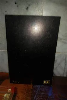 گزیده