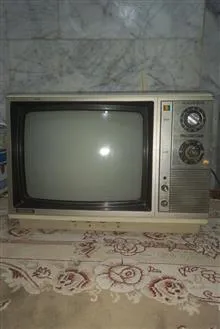 تلویزیون