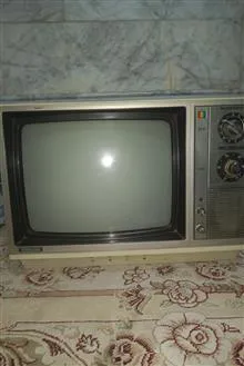 تلویزیون