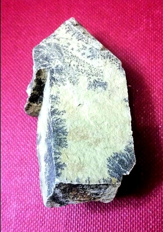 سنگ راف شجر فوق العاده زیبا کد702