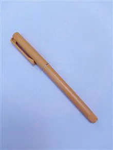 خودنویس