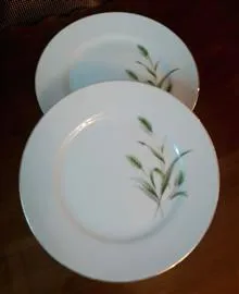 بشقاب