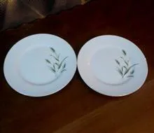بشقاب