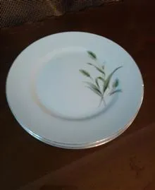 بشقاب