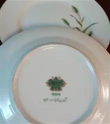 بشقاب