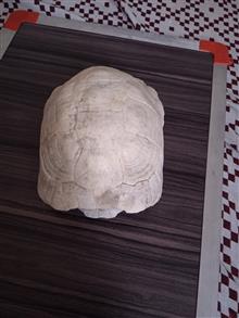 لاک