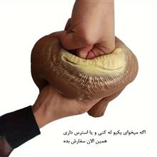 فیجت
