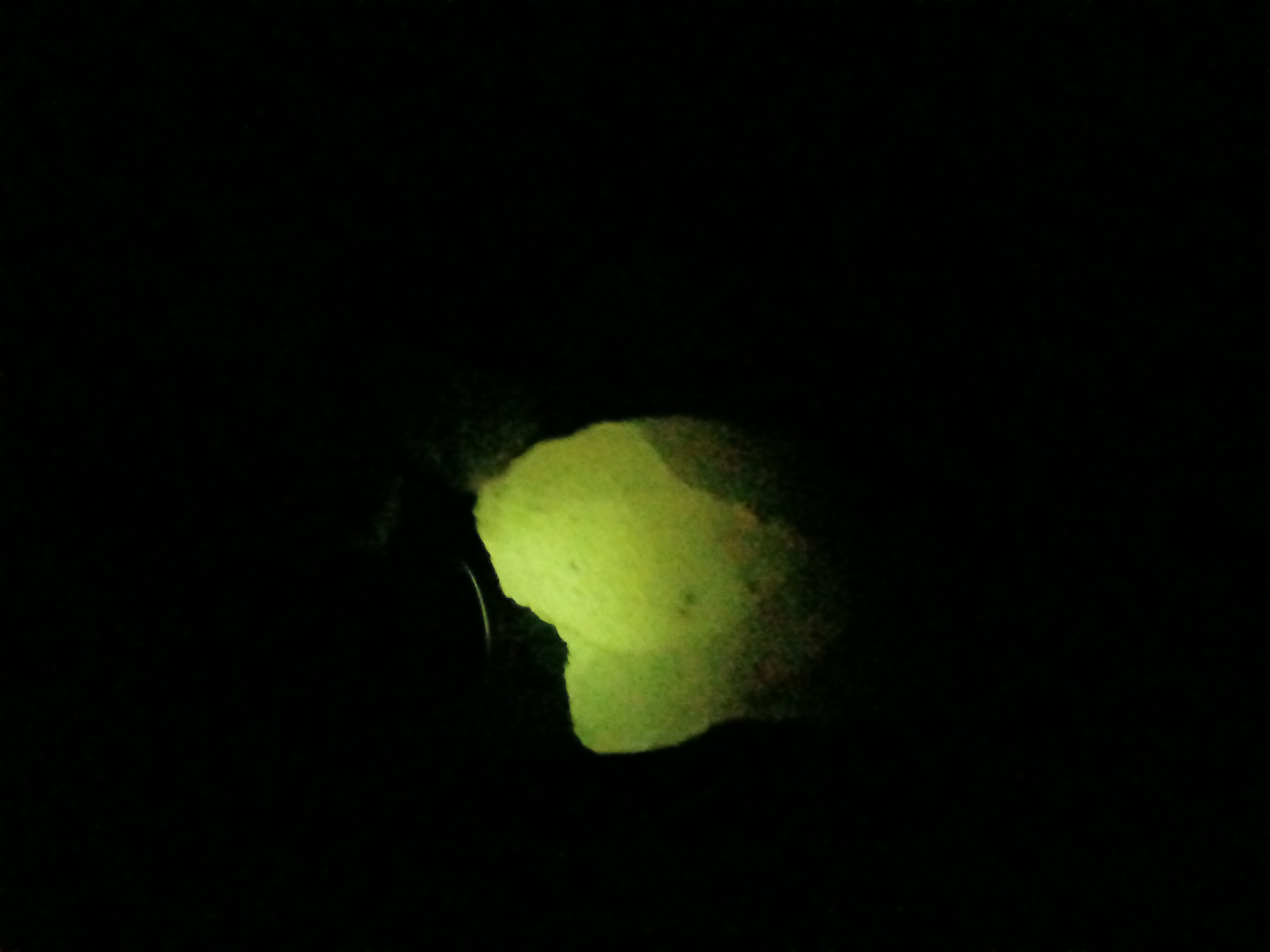 گوهر شب چراغ طبیعی اصل
