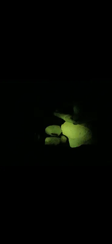 گوهر شب چراغ یا سنگ شب نما