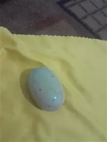 لول