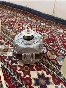 فن