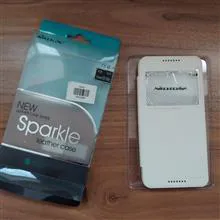 کیس