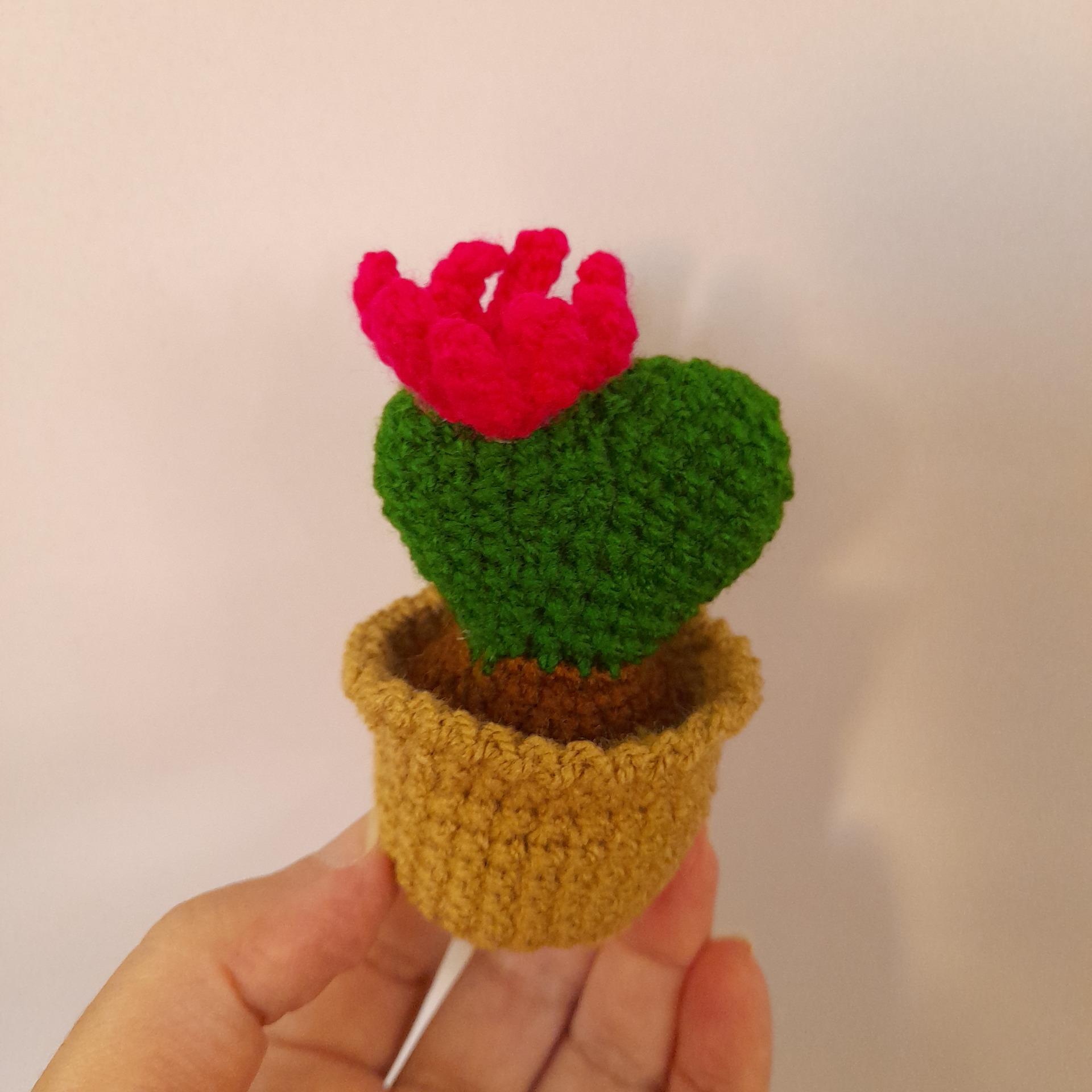 جاسوزنی تزیینی کاکتوس قلاب بافی