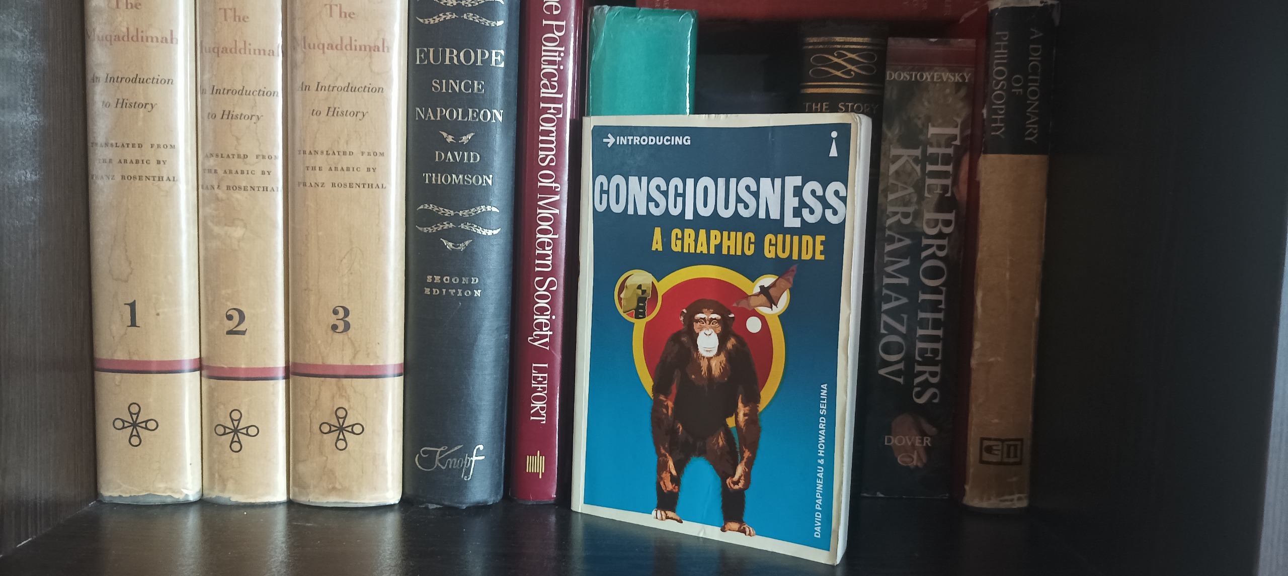 consciousness illustrated مصور انگلیسی