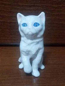 گربه