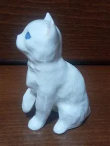 گربه
