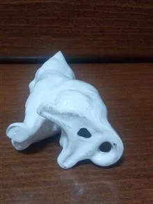 گربه