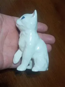 گربه