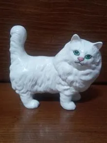 گربه