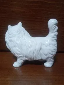 گربه
