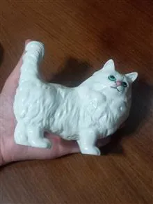 گربه
