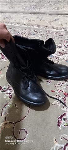 ست