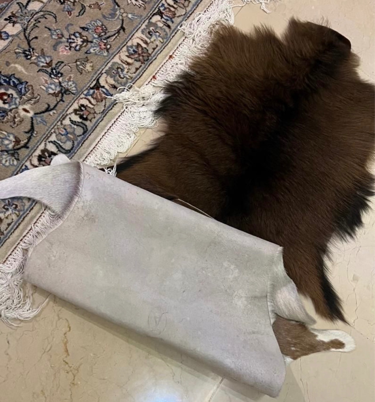 دو عدد پوست