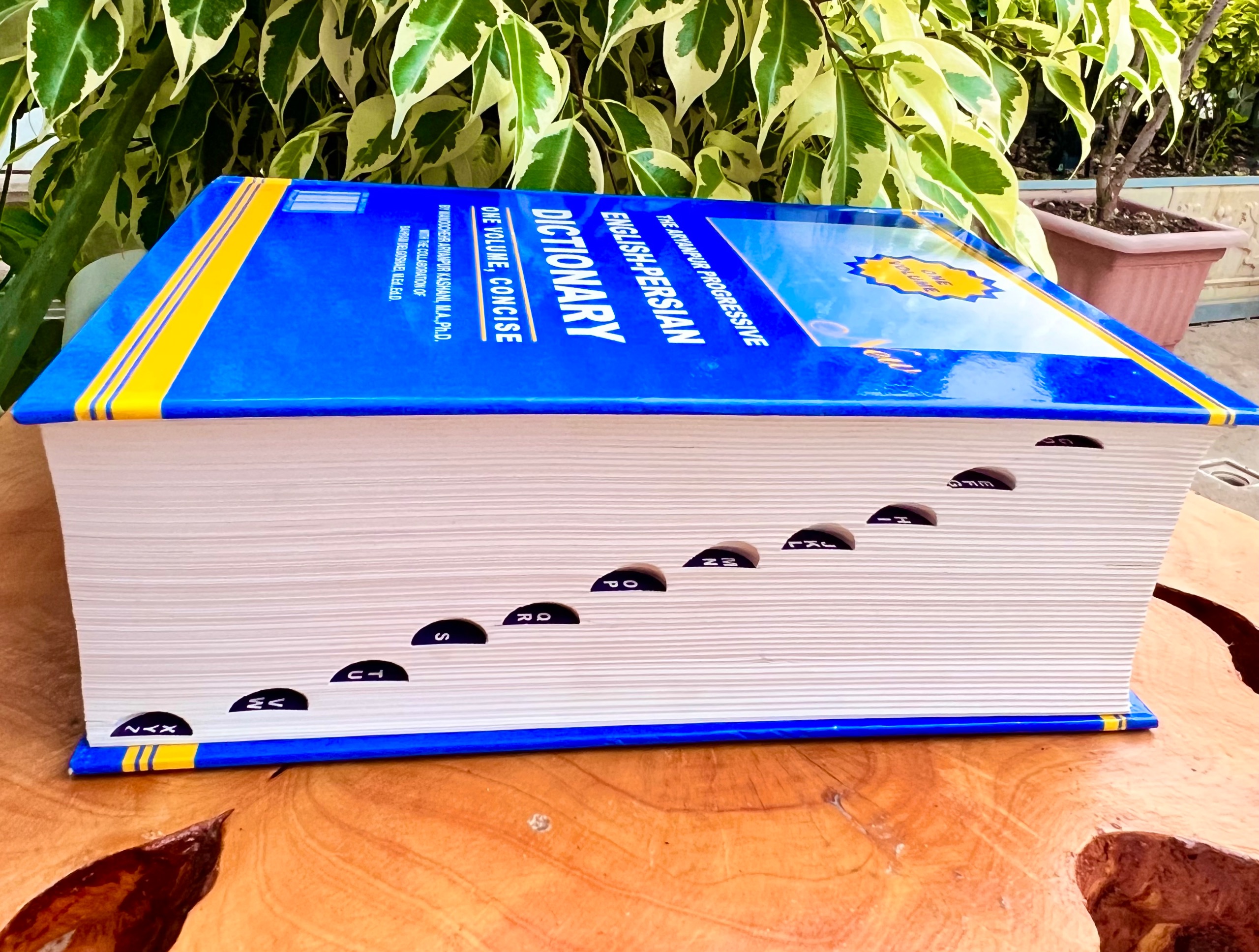 فرهنگ لغات یک جلدی آریان پور