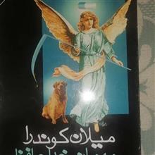 مهمانی