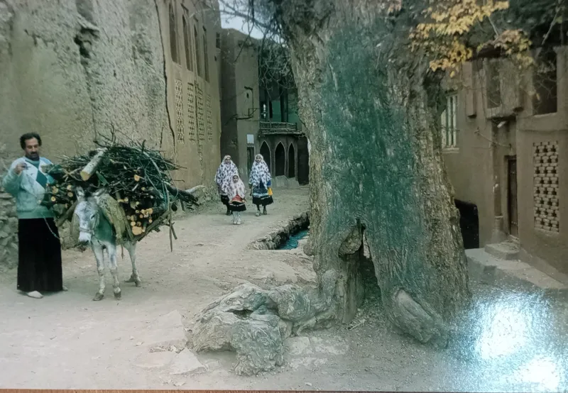 کارت پستال یکی از کوچه های ابیانه