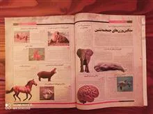 مجله