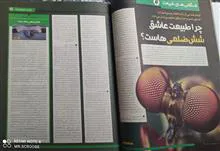 دانستنیها