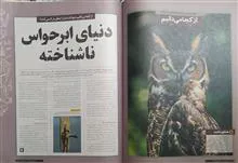 دانستنیها