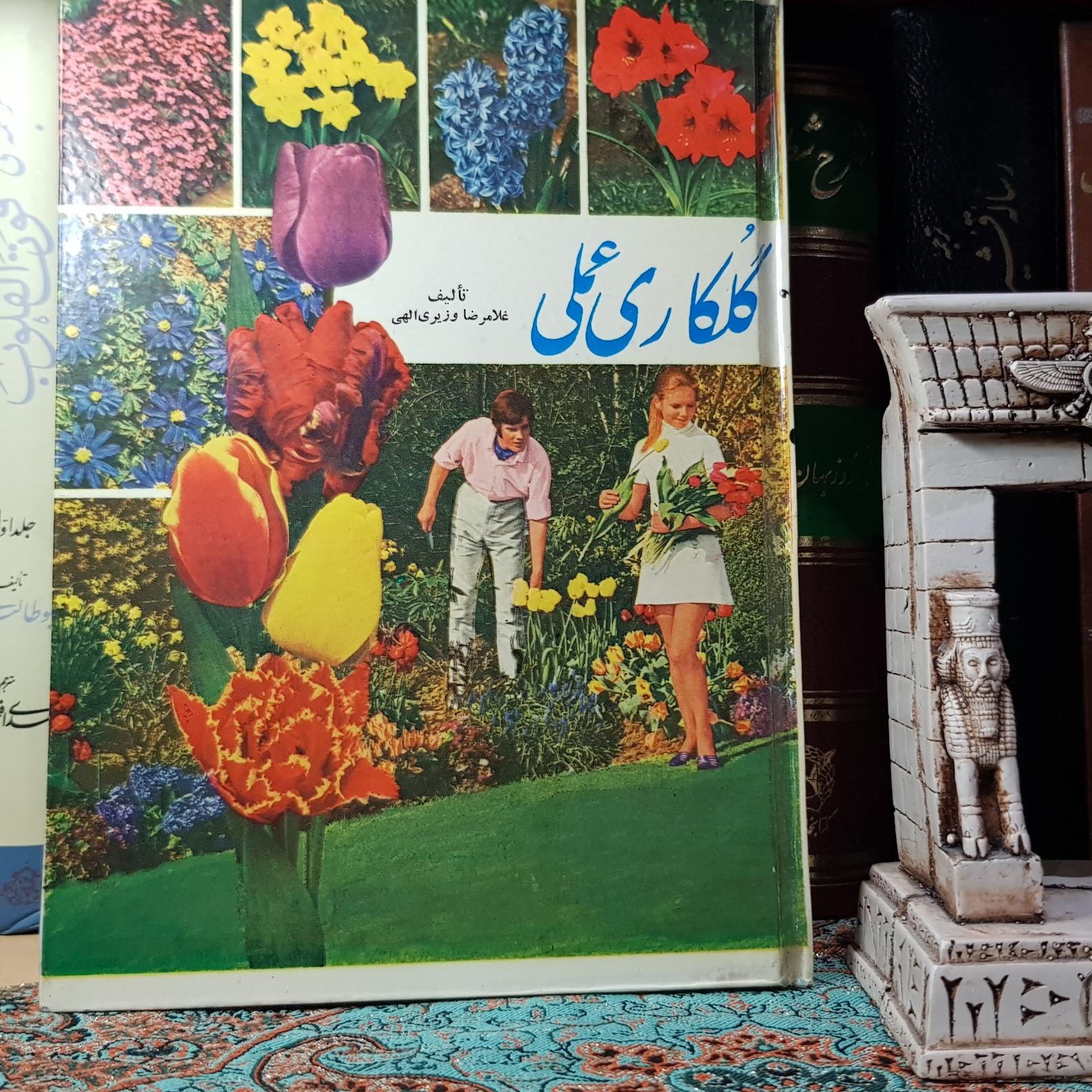 گلکاری عملی/وزیری الهی