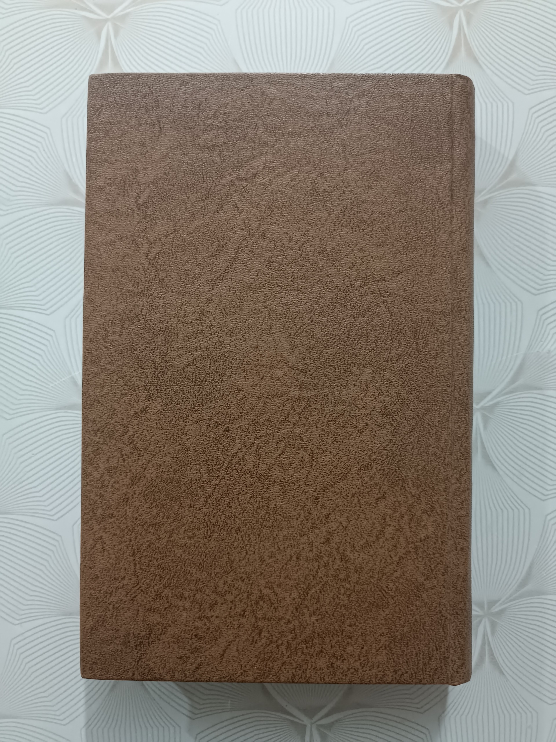 کتاب Mon journal dans la drôle de paix