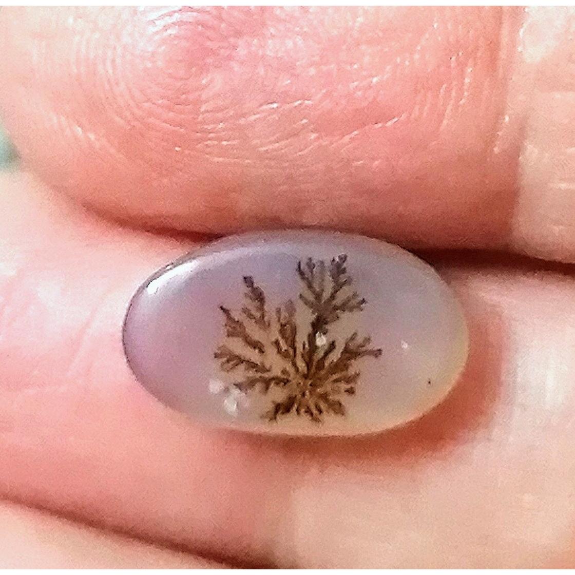 نگین شجر بسیار زیبا