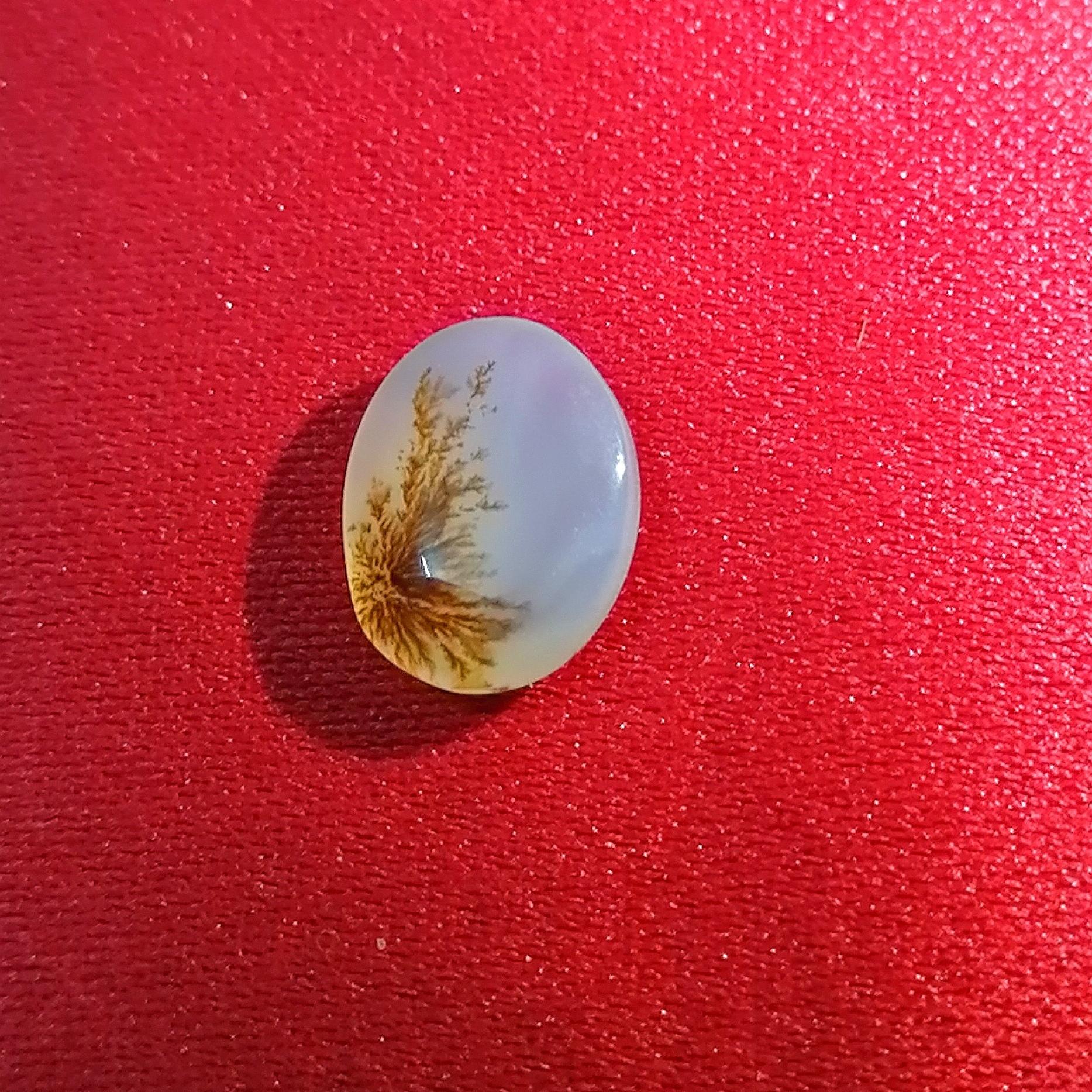 نگین شجر بسیار زیبا و کلکسیونی