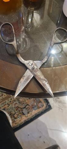 قیچی